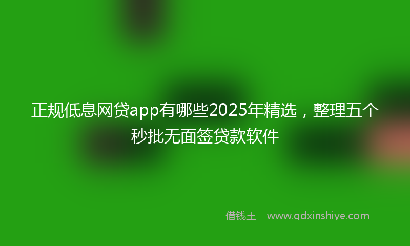 正规低息网贷app有哪些2025年精选,整理五个秒批无面签贷款软件