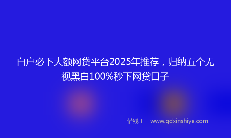 白户必下大额网贷平台2025年推荐，归纳五个无视黑白100%秒下网贷口子