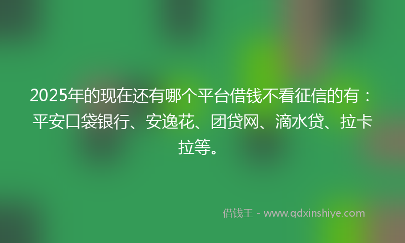 2025年的现在还有哪个平台借钱不看征信的有：平安口袋银行、安逸花、团贷网、滴水贷、拉卡拉等。