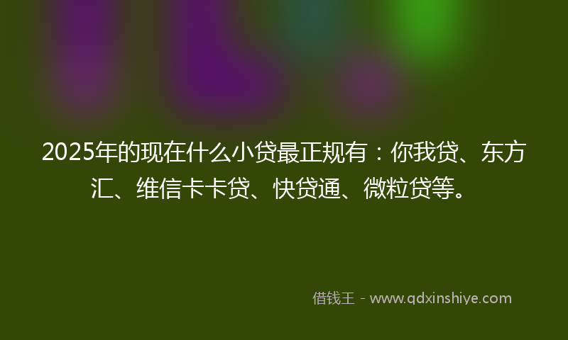 2025年的现在什么小贷最正规有：你我贷、东方汇、维信卡卡贷、快贷通、微粒贷等。