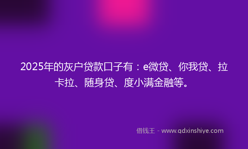 2025年的灰户贷款口子有：e微贷、你我贷、拉卡拉、随身贷、度小满金融等。