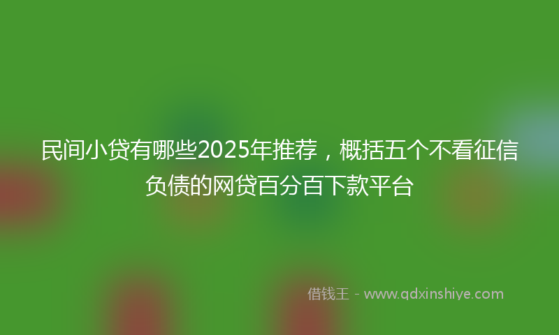 民间小贷有哪些2025年推荐，概括五个不看征信负债的网贷百分百下款平台