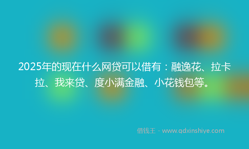 2025年的现在什么网贷可以借有：融逸花、拉卡拉、我来贷、度小满金融、小花钱包等。