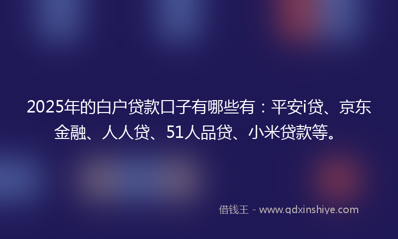 2025年的白户贷款口子有哪些有：平安i贷、京东金融、人人贷、51人品贷、小米贷款等。