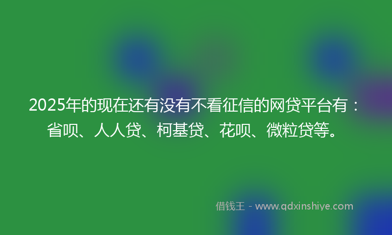 2025年的现在还有没有不看征信的网贷平台有：省呗、人人贷、柯基贷、花呗、微粒贷等。