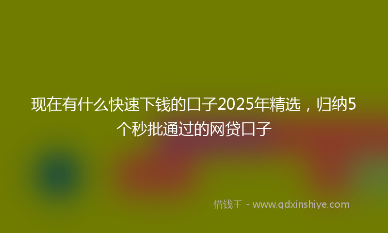 现在有什么快速下钱的口子2025年精选，归纳5个秒批通过的网贷口子