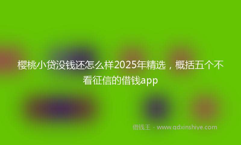 樱桃小贷没钱还怎么样2025年精选，概括五个不看征信的借钱app