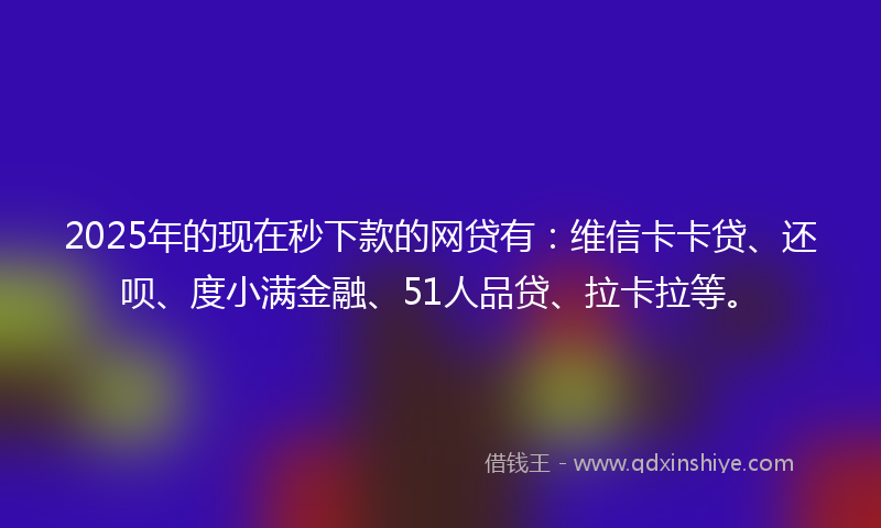 2025年的现在秒下款的网贷有：维信卡卡贷、还呗、度小满金融、51人品贷、拉卡拉等。