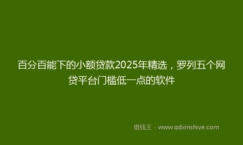 百分百能下的小额贷款2025年精选，罗列五个网贷平台门槛低一点的软件