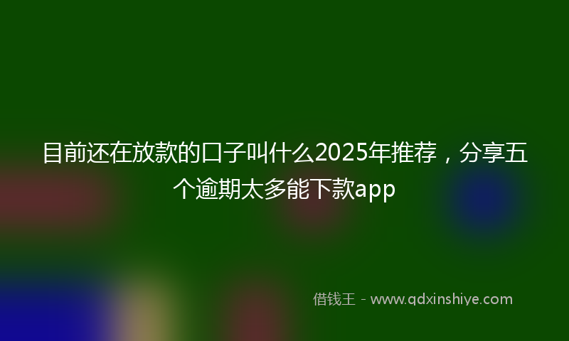 目前还在放款的口子叫什么2025年推荐，分享五个逾期太多能下款app