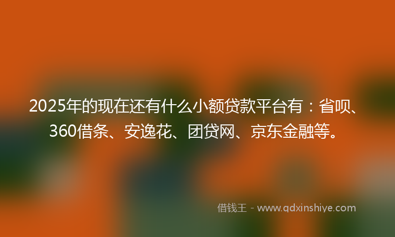 2025年的现在还有什么小额贷款平台有：省呗、360借条、安逸花、团贷网、京东金融等。