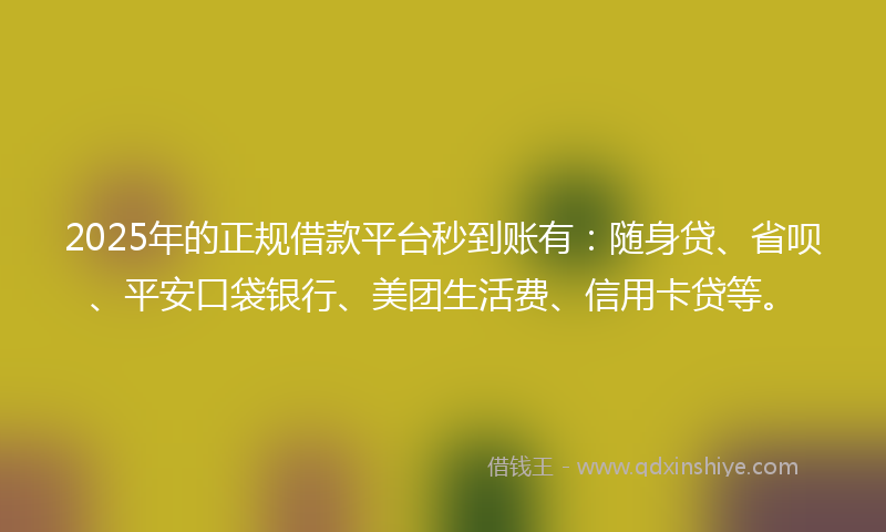 2025年的正规借款平台秒到账有：随身贷、省呗、平安口袋银行、美团生活费、信用卡贷等。