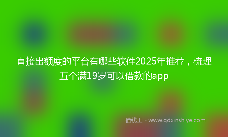 直接出额度的平台有哪些软件2025年推荐，梳理五个满19岁可以借款的app