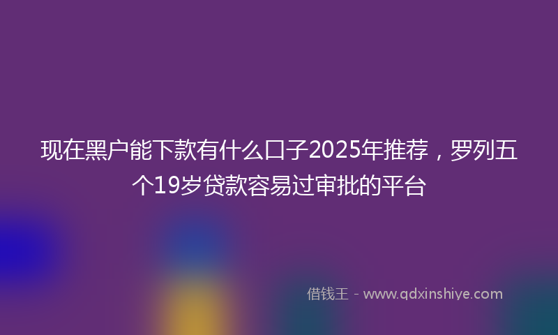 现在黑户能下款有什么口子2025年推荐,罗列五个19岁贷款容易过审批的平台