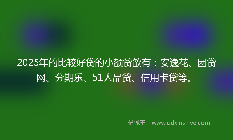 2025年的比较好贷的小额贷欿有：安逸花、团贷网、分期乐、51人品贷、信用卡贷等。