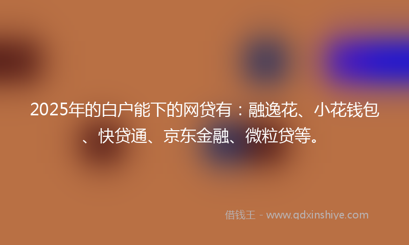 2025年的白户能下的网贷有：融逸花、小花钱包、快贷通、京东金融、微粒贷等。