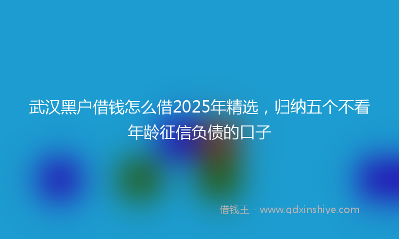 武汉黑户借钱怎么借2025年精选，归纳五个不看年龄征信负债的口子
