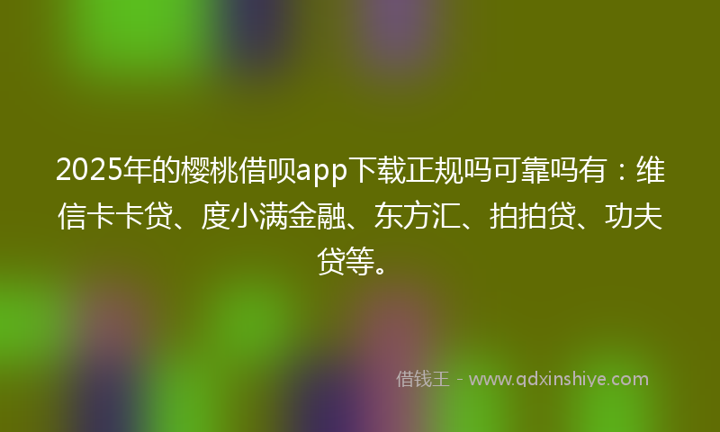 2025年的樱桃借呗app下载正规吗可靠吗有：维信卡卡贷、度小满金融、东方汇、拍拍贷、功夫贷等。