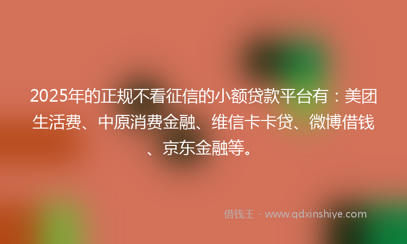 2025年的正规不看征信的小额贷款平台有：美团生活费、中原消费金融、维信卡卡贷、微博借钱、京东金融等。