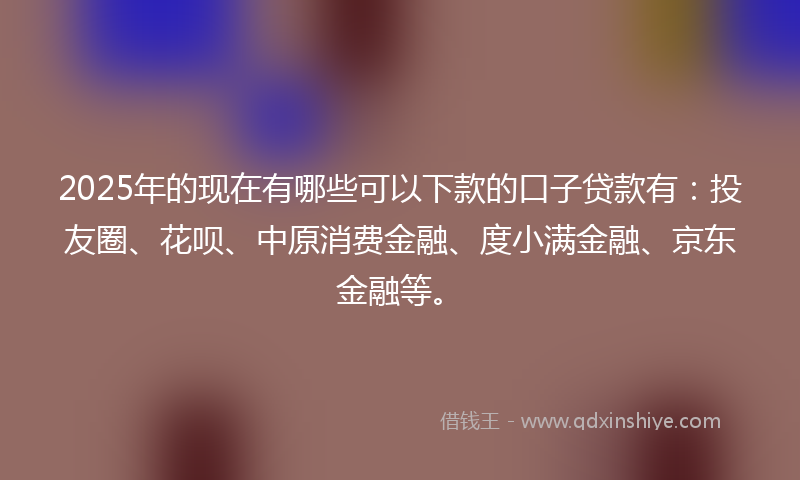 2025年的现在有哪些可以下款的口子贷款有：投友圈、花呗、中原消费金融、度小满金融、京东金融等。