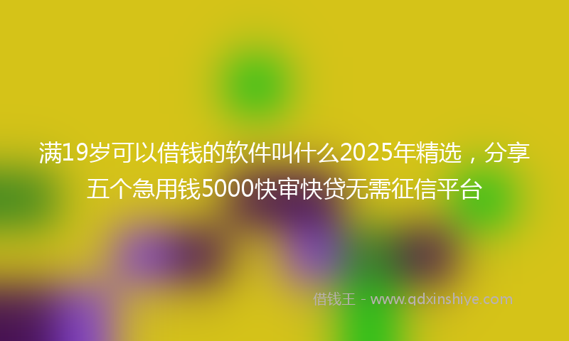 满19岁可以借钱的软件叫什么2025年精选，分享五个急用钱5000快审快贷无需征信平台