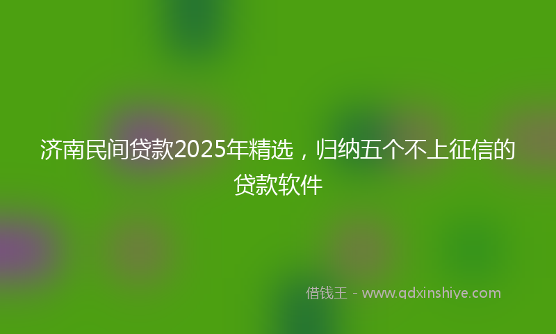济南民间贷款2025年精选，归纳五个不上征信的贷款软件