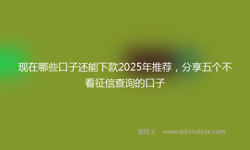 现在哪些口子还能下款2025年推荐，分享五个不看征信查询的口子