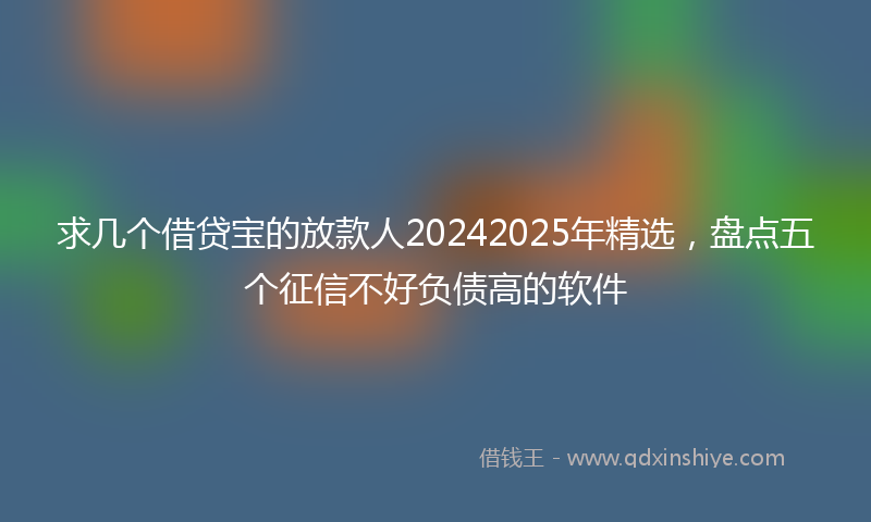 求几个借贷宝的放款人20242025年精选，盘点五个征信不好负债高的软件