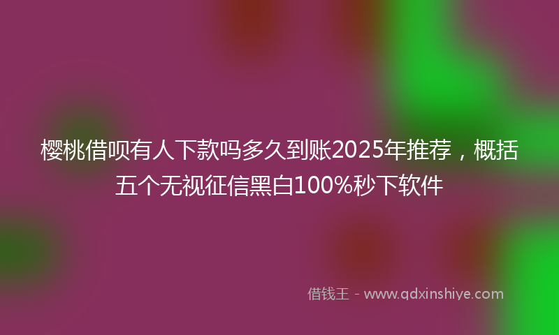 樱桃借呗有人下款吗多久到账2025年推荐，概括五个无视征信黑白100%秒下软件
