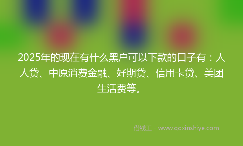 2025年的现在有什么黑户可以下款的口子有:人人贷、中原消费金融、好期贷、信用卡贷、美团生活费等。