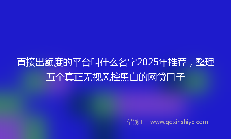 直接出额度的平台叫什么名字2025年推荐，整理五个真正无视风控黑白的网贷口子