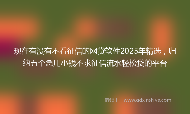 现在有没有不看征信的网贷软件2025年精选，归纳五个急用小钱不求征信流水轻松贷的平台
