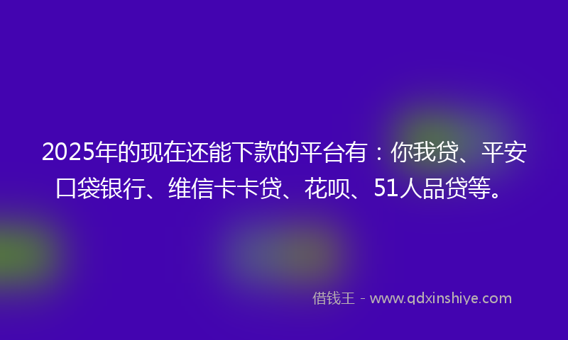 2025年的现在还能下款的平台有：你我贷、平安口袋银行、维信卡卡贷、花呗、51人品贷等。