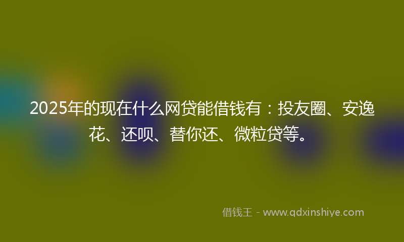 2025年的现在什么网贷能借钱有：投友圈、安逸花、还呗、替你还、微粒贷等。
