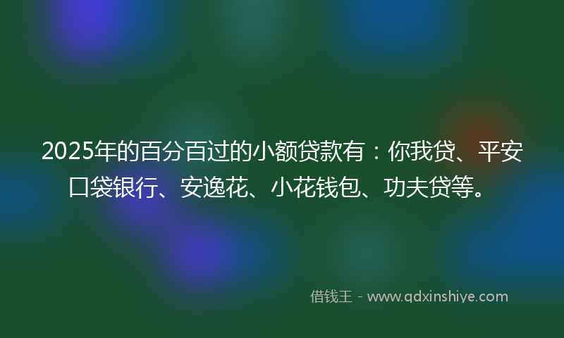 2025年的百分百过的小额贷款有：你我贷、平安口袋银行、安逸花、小花钱包、功夫贷等。