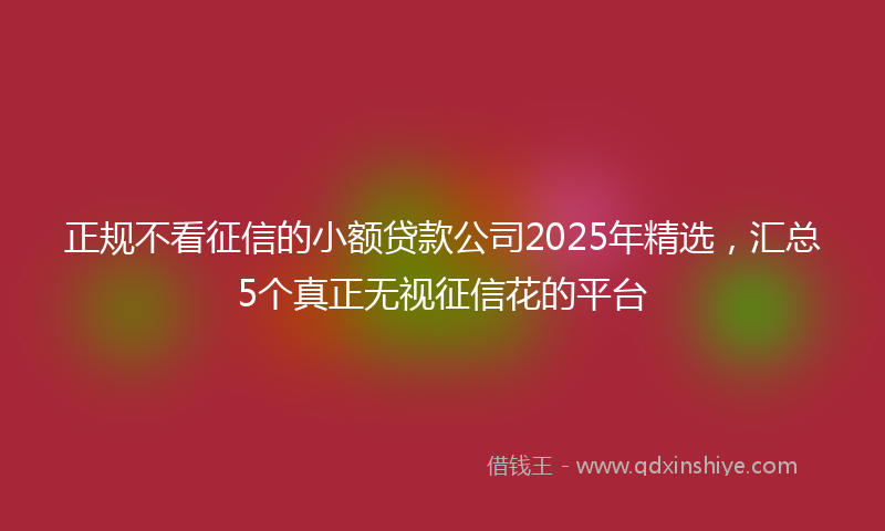 正规不看征信的小额贷款公司2025年精选，汇总5个真正无视征信花的平台
