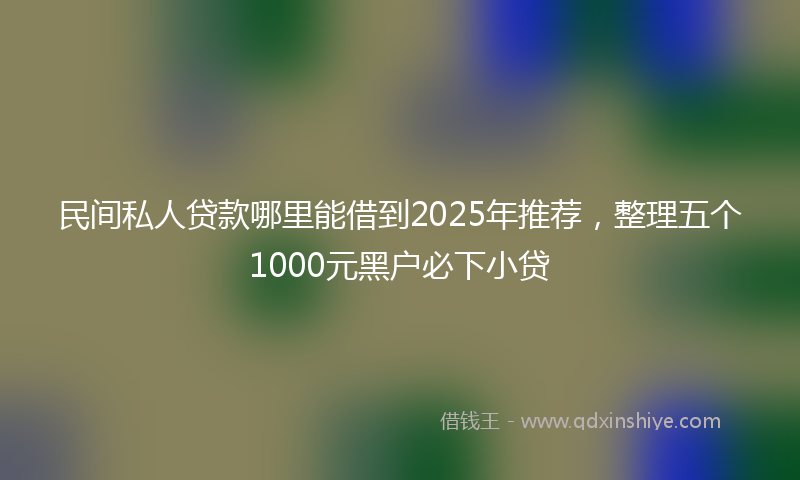 民间私人贷款哪里能借到2025年推荐，整理五个1000元黑户必下小贷