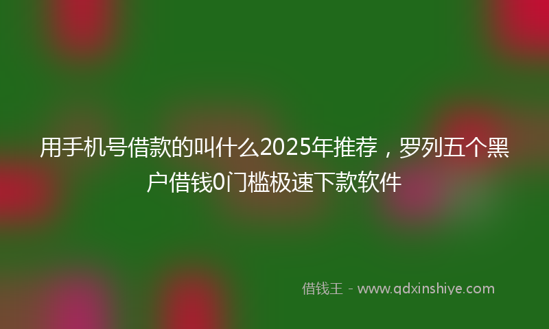 用手机号借款的叫什么2025年推荐，罗列五个黑户借钱0门槛极速下款软件