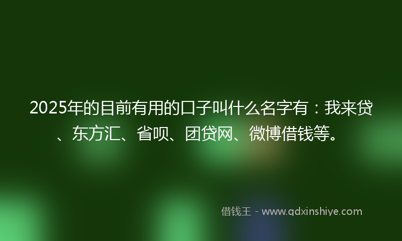 2025年的目前有用的口子叫什么名字有：我来贷、东方汇、省呗、团贷网、微博借钱等。
