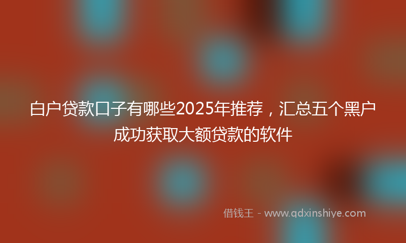 白户贷款口子有哪些2025年推荐，汇总五个黑户成功获取大额贷款的软件