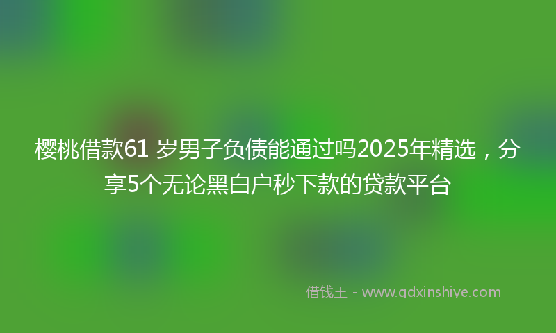 樱桃借款61 岁男子负债能通过吗2025年精选，分享5个无论黑白户秒下款的贷款平台