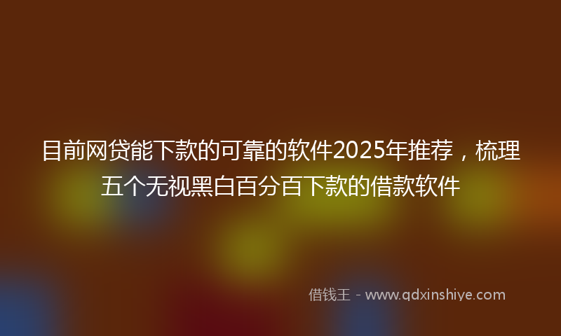目前网贷能下款的可靠的软件2025年推荐，梳理五个无视黑白百分百下款的借款软件