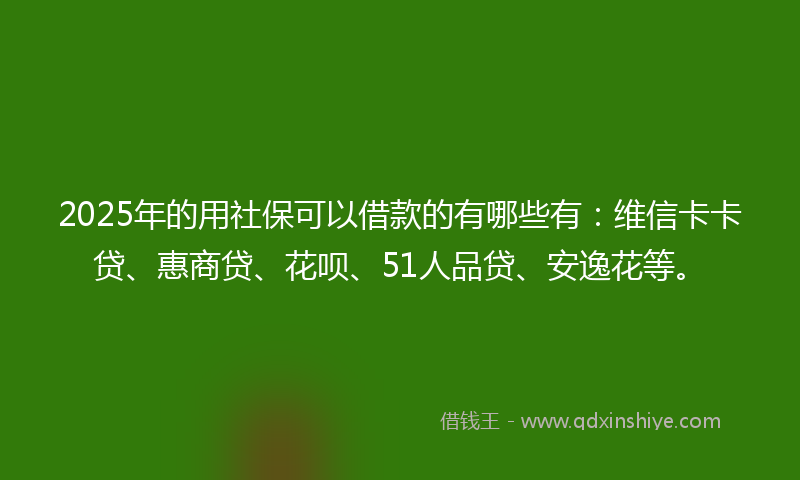 2025年的用社保可以借款的有哪些有：维信卡卡贷、惠商贷、花呗、51人品贷、安逸花等。