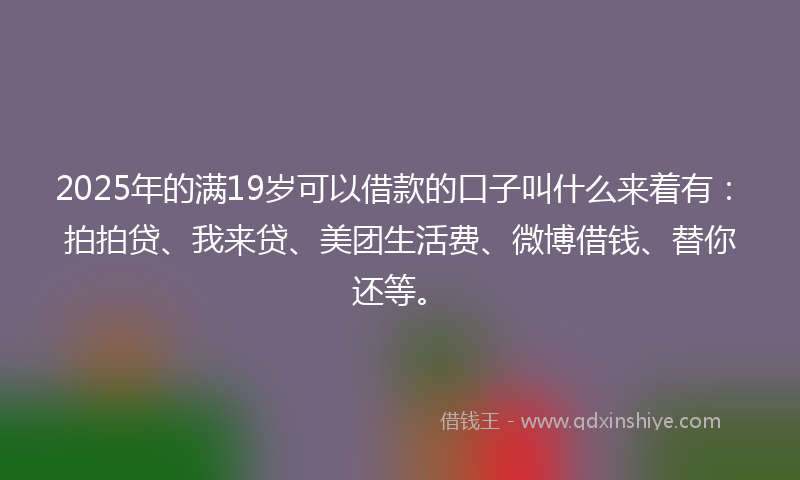 2025年的满19岁可以借款的口子叫什么来着有：拍拍贷、我来贷、美团生活费、微博借钱、替你还等。