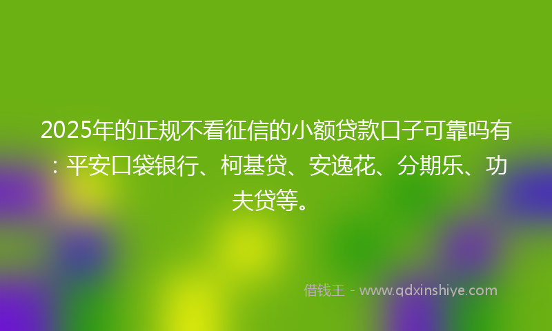 2025年的正规不看征信的小额贷款口子可靠吗有：平安口袋银行、柯基贷、安逸花、分期乐、功夫贷等。