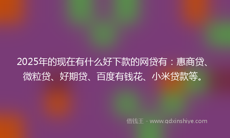 2025年的现在有什么好下款的网贷有：惠商贷、微粒贷、好期贷、百度有钱花、小米贷款等。