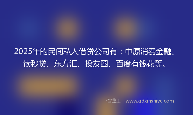 2025年的民间私人借贷公司有：中原消费金融、读秒贷、东方汇、投友圈、百度有钱花等。