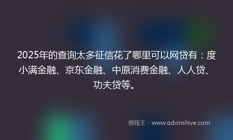 2025年的查询太多征信花了哪里可以网贷有：度小满金融、京东金融、中原消费金融、人人贷、功夫贷等。