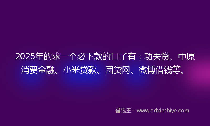 2025年的求一个必下款的口子有：功夫贷、中原消费金融、小米贷款、团贷网、微博借钱等。