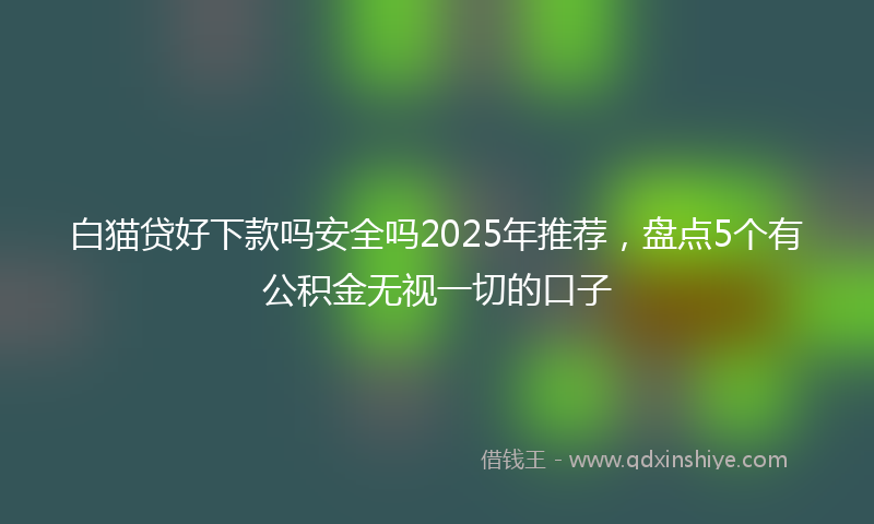 白猫贷好下款吗安全吗2025年推荐，盘点5个有公积金无视一切的口子